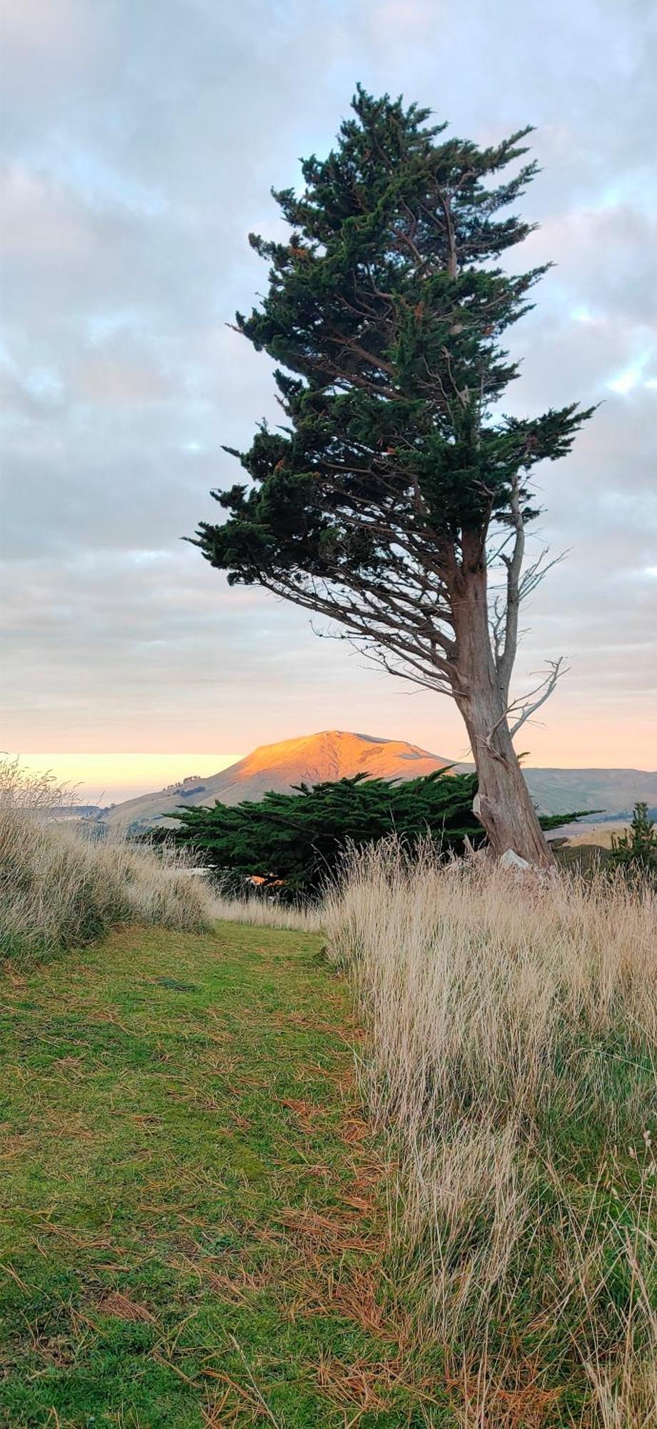 Apartmán Pukemara Retreat Sandymount Exteriér fotografie